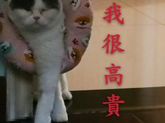 -春阳水饺(香槟广场店)