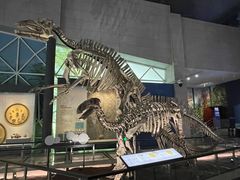 -湖南省地质博物馆