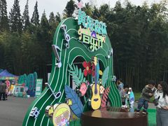 -黄海国家森林公园