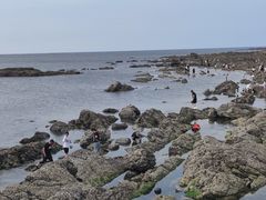 -养马岛旅游度假区