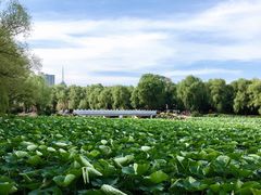 -长春市南湖公园