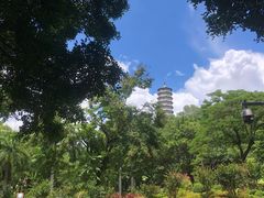 -深圳国际园林花卉博览园