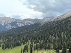 -马白开来特色羊排揪片子  (总店)