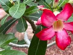 -北京植物园-展览温室