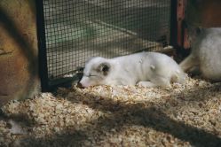 -酷嗒动物文化乐园(cutezoo西溪乐天城店)