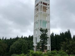 -东平国家森林公园