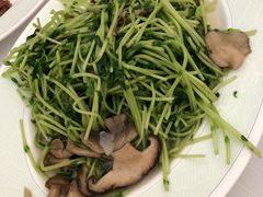 -翠园(铜锣湾广场店)