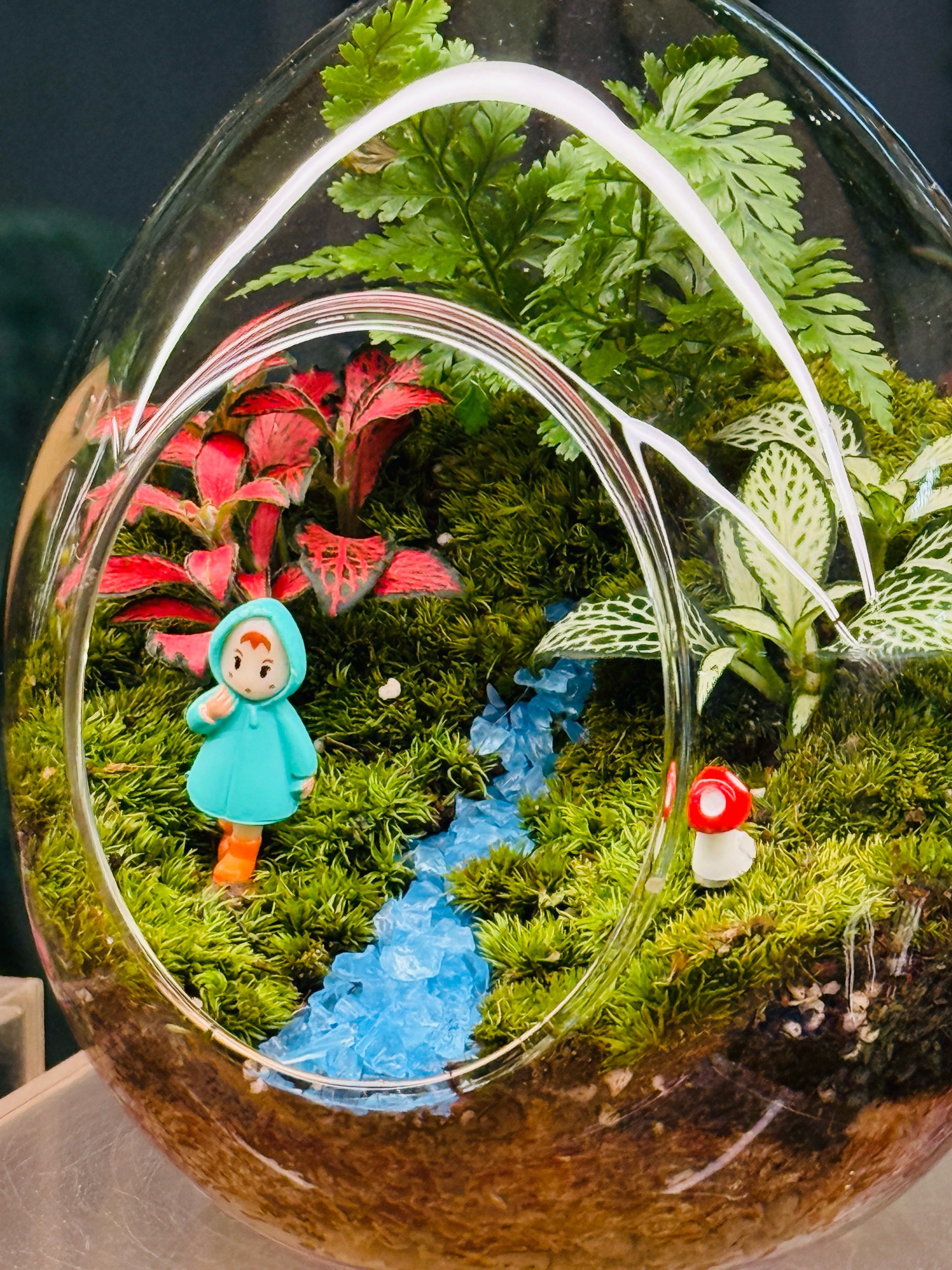 diy手工植物微景观越来越抽象现实具像化了❗️