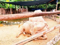 -泉州海丝野生动物世界