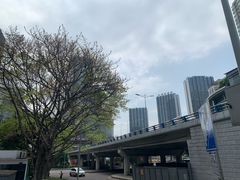 -海关荤豆花(洋河一路店)
