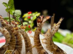 -璞御·海鲜·雪花牛肉局(宾水西道店)