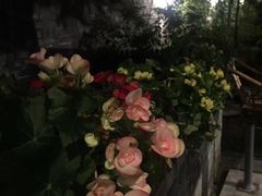 -见山书院