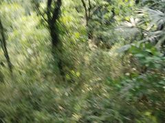 -苏州上方山国家森林公园