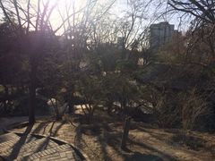 iphone_upload_pic-紫竹院公园冰场