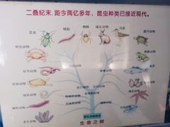 -上海昆虫博物馆