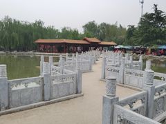 -神州牡丹园