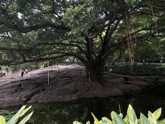 -晓港公园
