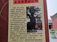-延庆观