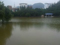 雨后-四海公园(南山区)