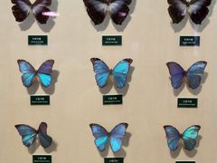 -陕西自然博物馆