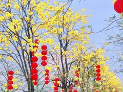 -洲头咀公园
