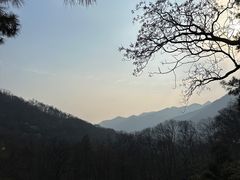 -波尔登森林公园