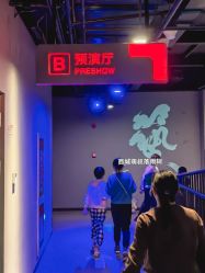 -飞览天下沉浸式飞行体验(北京旗舰店)