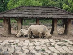 -杭州野生动物世界