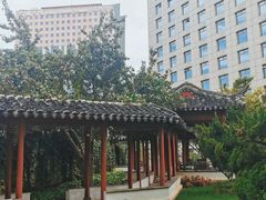 -亮马河饭店翠雅咖啡厅