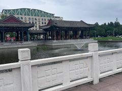 -东北农业大学