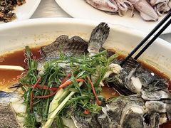-众味海鲜大排档·活海鲜·潮汕味(南澳店)