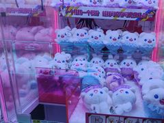 -城市动力(弘桥商城店)
