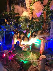 -恐龙探索乐园(磁器口店)