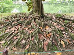 -西湖外事游船(花港观鱼码头)