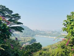 -水濂山森林公园