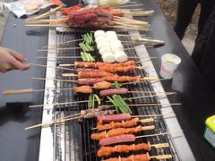 -上海海湾国家森林公园