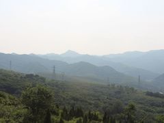 -原山国家森林公园