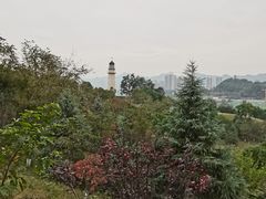 -金海湾滨江公园