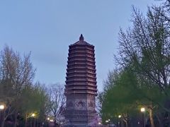 -玲珑塔公园