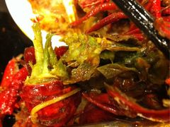 麻辣小龙虾。绿色！谁敢吃？-簋街仔仔小龙虾(簋街二店)