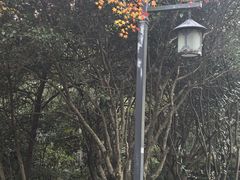 -法云安缦酒店