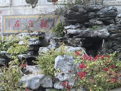 -仙岳公园
