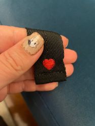 点击看大图 -盼兮·日式美睫沙龙