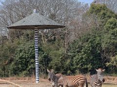 -宁波野生动物园