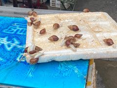 -五七小李子油焖大虾(总店)