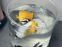 -小猫钓鱼海钓俱乐部(椰梦长廊店)