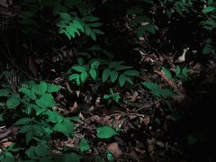 -九鼎铁刹山风景区