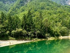 -鹿院坪生态旅游景区