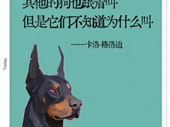 -青枣读书丨读写素养中心丨阅读·理解·写作(崇文店)