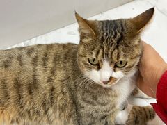 -邢大夫动物医院